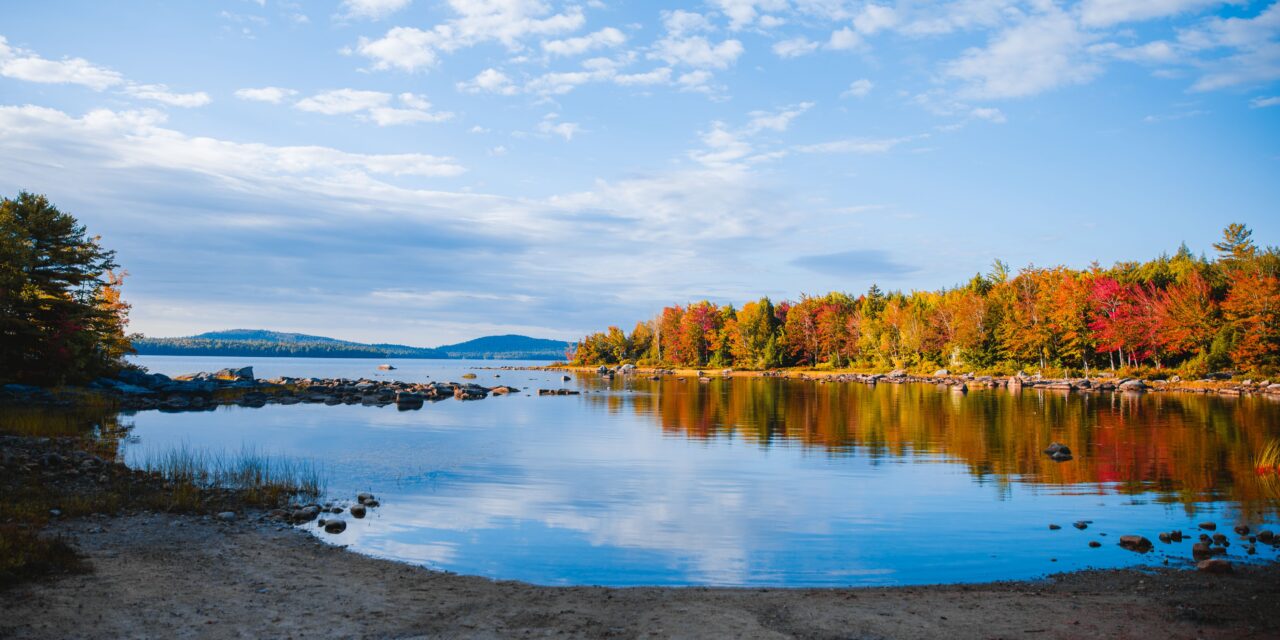 Fall Foliage in Mid-Coast Maine: Why Your Rockport Cottage Is the Best Seat in the House